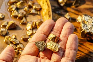 Conceptos Básicos del Oro: Guía para Principiantes